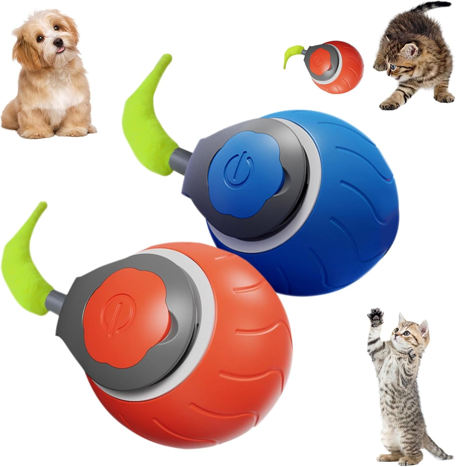 Speedy Tail Rechargeable Toy