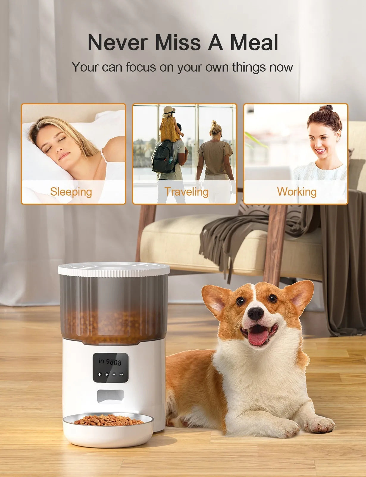 Luxe Paws Club Automatic Feeder