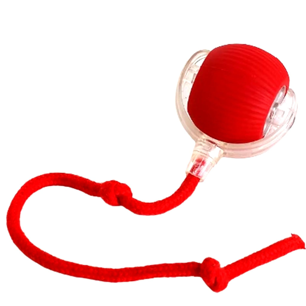 LuxePro Rechargeable Rolling Ball Toy