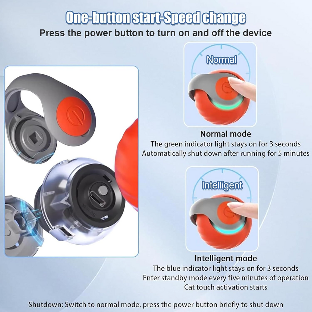 Speedy Tail Rechargeable Toy