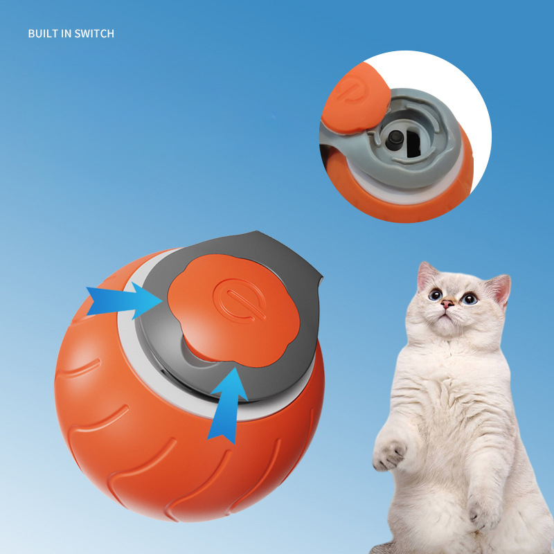 Speedy Tail Rechargeable Toy