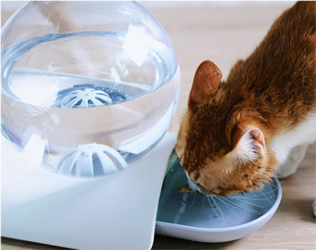 LuxePro Water Dispenser