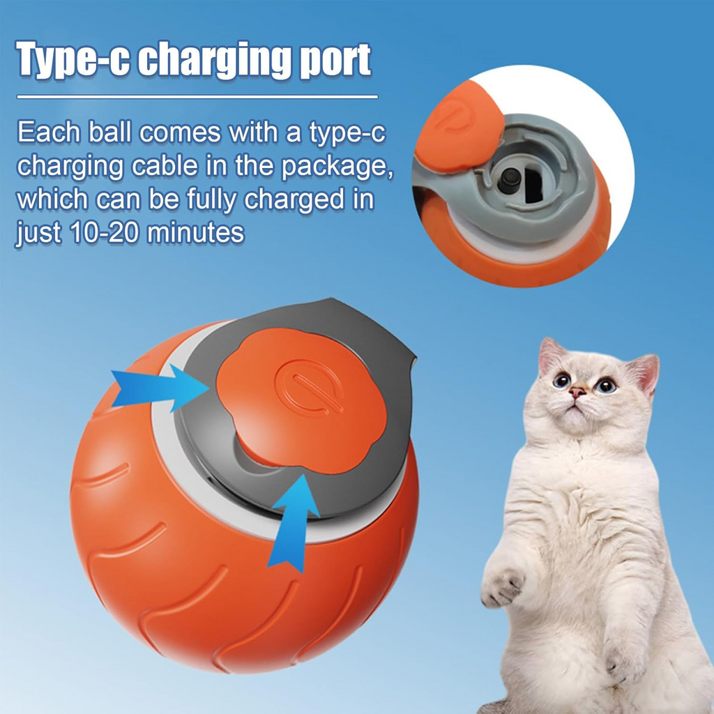 Speedy Tail Rechargeable Toy