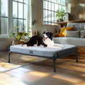 LuxePro Elevated Dog Bed - Medium to Large Sized Pets