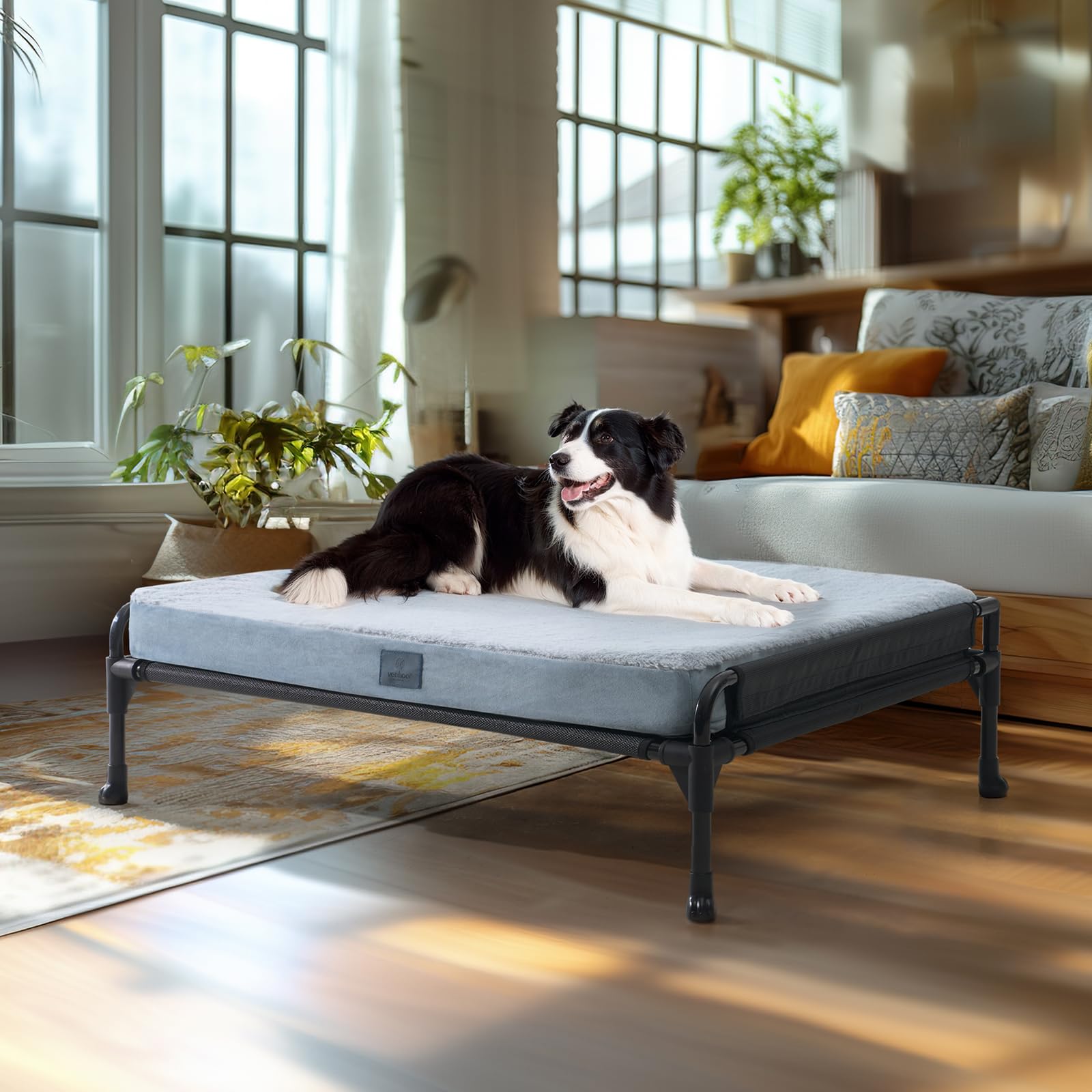 LuxePro Elevated Dog Bed - Medium to Large Sized Pets